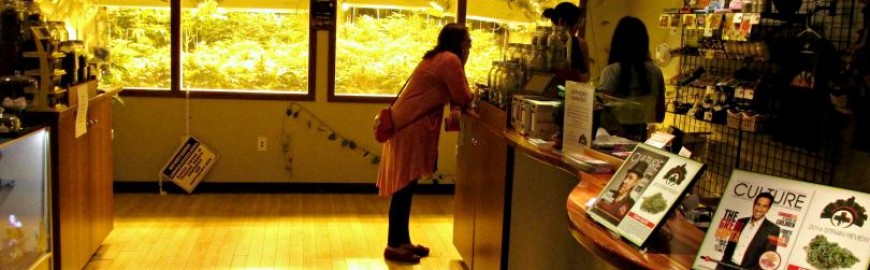 California dispensary college