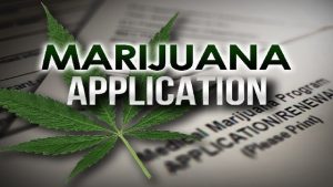 Applications for marijuana business