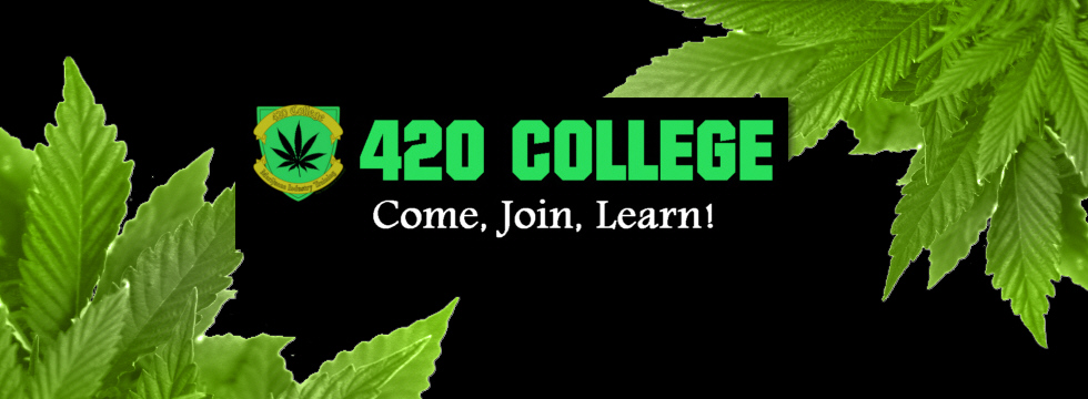 Online Marijuana University