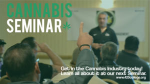 cannabis permits for business